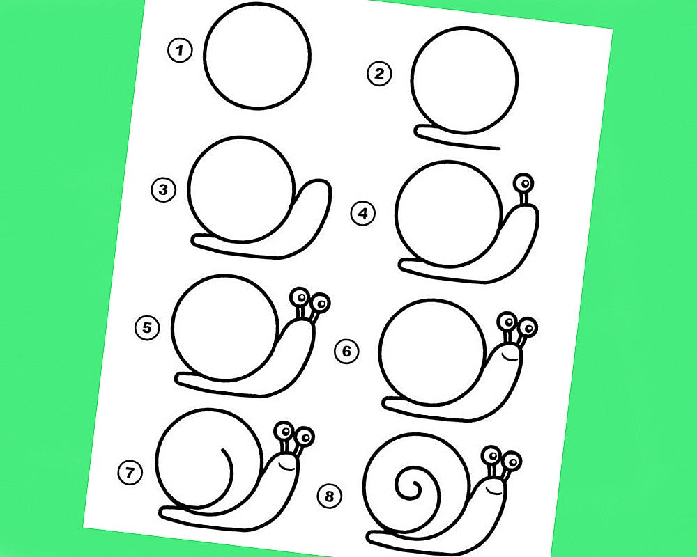 Apprendre à dessiner un escargot
