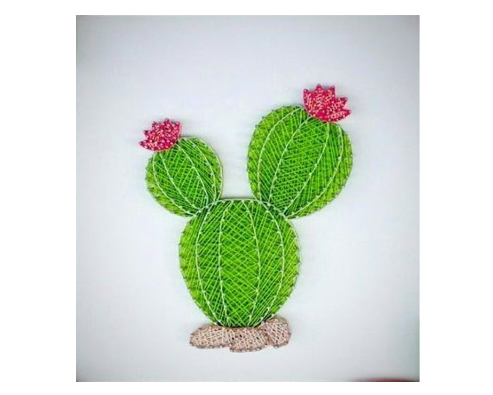 un cactus