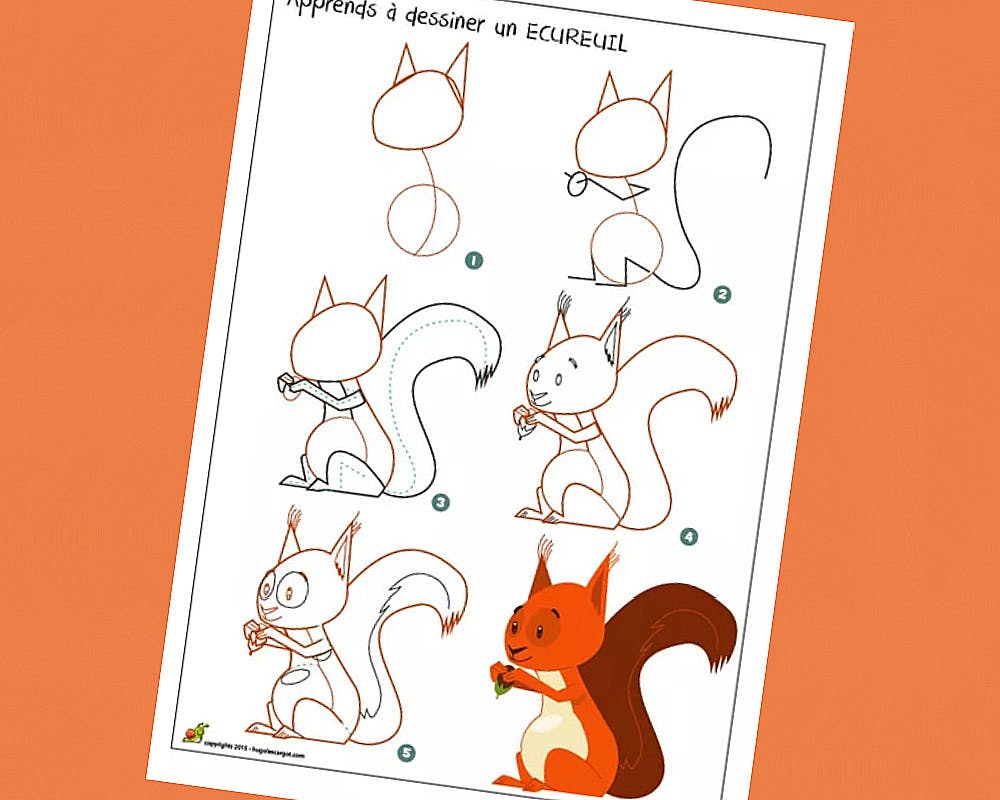 fiche pour apprendre à dessiner un écureuil