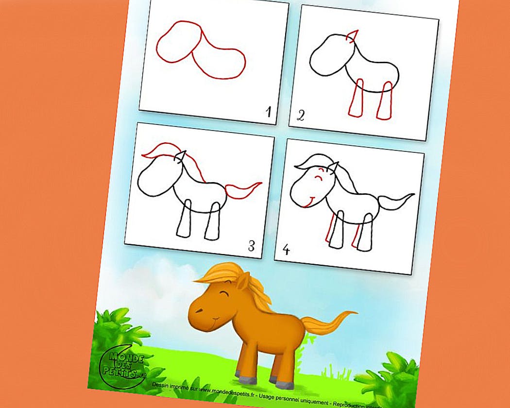 Mon 1er Livre de Coloriage enfant Animaux 2 ans et +: Cahier coloriage pour  apprendre à colorier enfant 2 ans | Cahier coloriage garçons & filles