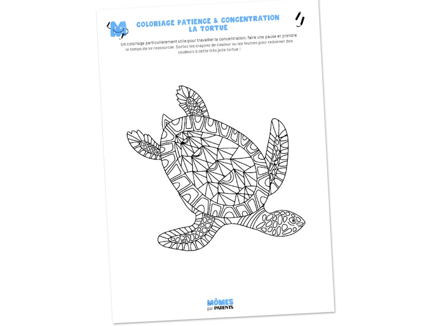 Coloriage patience & concentration : la tortue