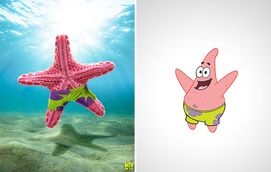 Patrick l'étoile de mer