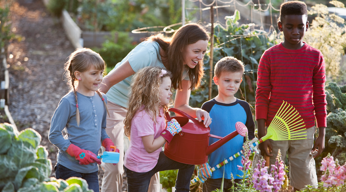 Le Jardinage Momes Net
