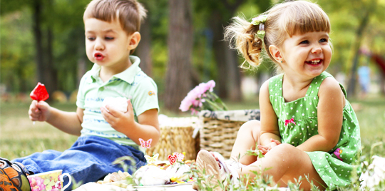 Le Concept Du Pique Nique Momes Net
