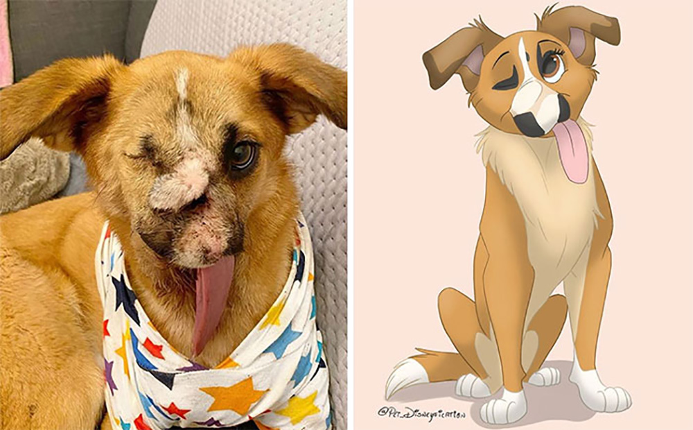 Elle redessine nos animaux à la manière de Disney