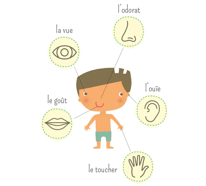 Les 5 Sens Pictogramme Logo 5 Sens Gratuit BLKXFS les-5-sens-pictogramme-logo-5-sens-gratuit-blkxfs