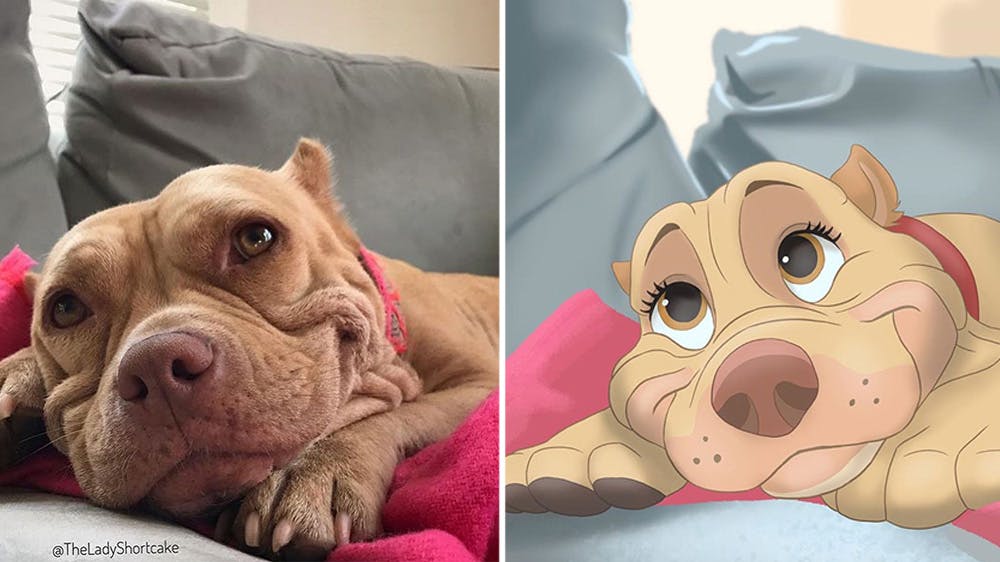 Elle Redessine Nos Animaux A La Maniere De Disney Momes Net Elle Redessine Nos Animaux A La Maniere De Disney Momes Net