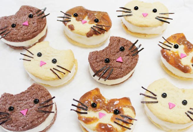 Recette Des Biscuits Chats Momes Net Recette Des Biscuits Chats Momes Net