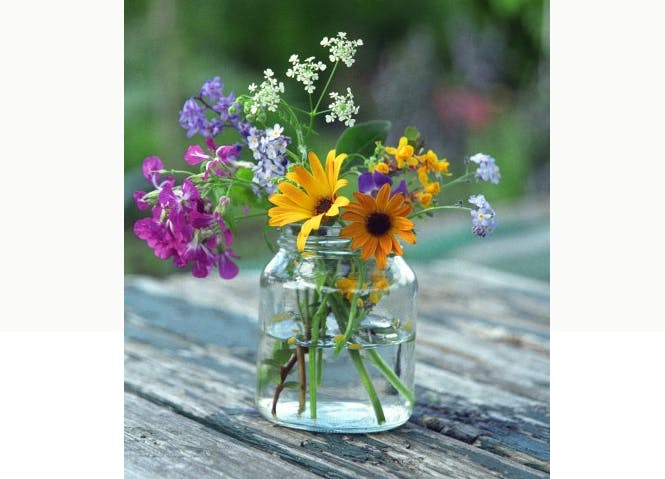 5 Idees D Activites Avec Des Feuilles Et Des Fleurs Momes Net 5 Idees D Activites Avec Des Feuilles Et Des Fleurs Momes Net