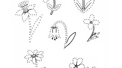 pointilles maternelle pointilles maternelle