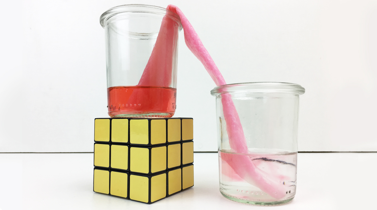 Expérience : remontée d'eau par capillarité | MOMES