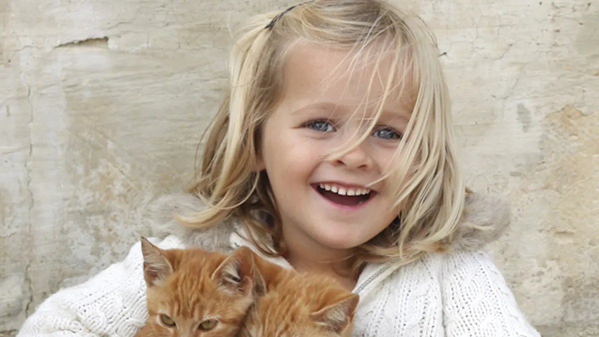 Chat Chat Moustacha Momes Net Chat Chat Moustacha Momes Net