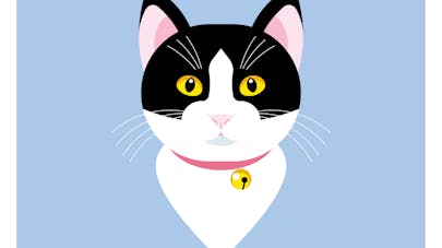 Jeu Du Chat Perche Et Autres Jeux De Chat Momes Net Jeu Du Chat Perche Et Autres Jeux De Chat Momes Net