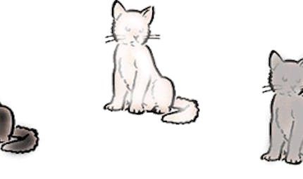 Les Meilleures Comptines Sur Les Chats Pour Les Enfants Momes Net Les Meilleures Comptines Sur Les Chats Pour Les Enfants Momes Net