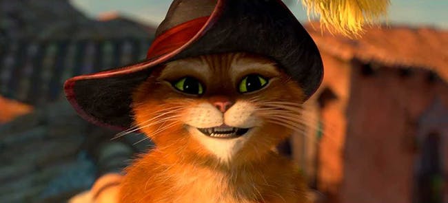 Le Chat Potte 2 Bientot Le Retour Du Plus Charmeur Des Chats Momes Net Le Chat Potte 2 Bientot Le Retour Du Plus Charmeur Des Chats Momes Net