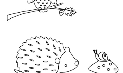 Coloriages Automne Momes Net