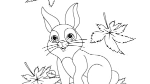 Coloriage Automne : le petit lapin