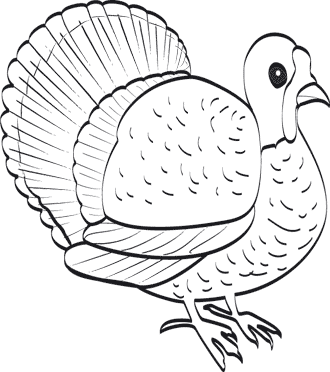 Coloriage dinde de Thanksgiving | MOMES.net Coloriage dinde de Thanksgiving | MOMES.net