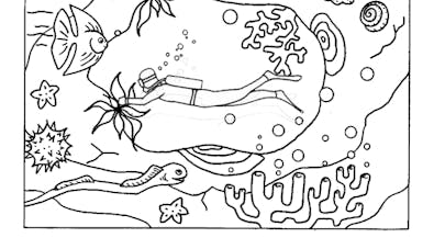coloriage la vie sous-marine coloriage la vie sous-marine