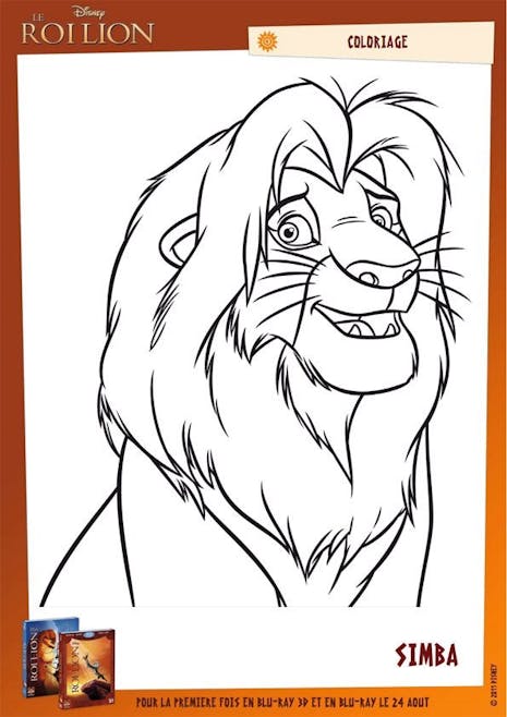 Coloriage Le Roi Lion (22)