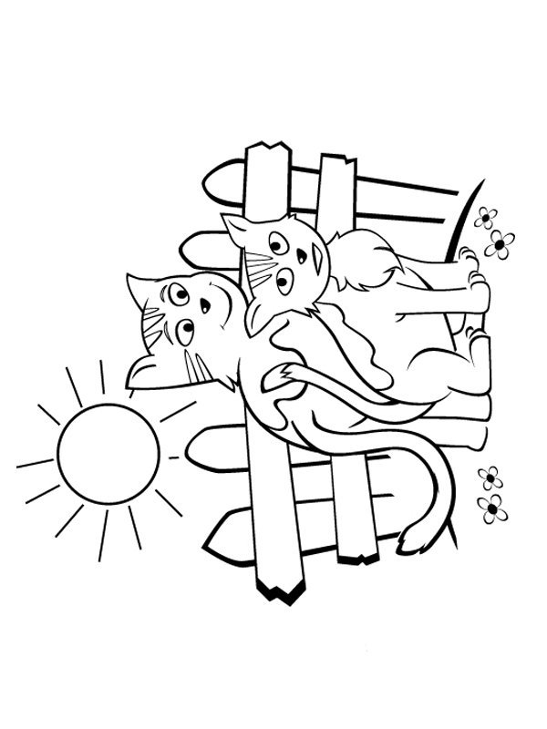 Coloriage les chats (5)  MOMES.net