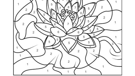 Coloriages Magiques Momes Net