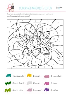 Coloriage magique : le lotus  Coloriage magique, Coloriage