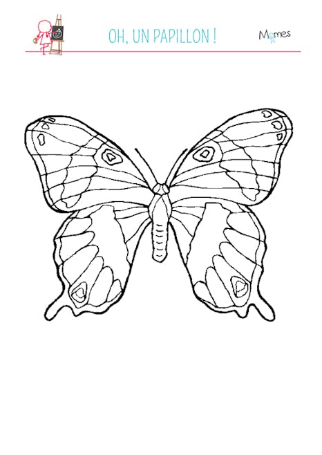 Coloriage grand papillon