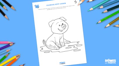Coloriage petit cochon Coloriage petit cochon