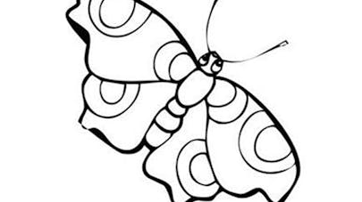 Coloriage petit papillon Coloriage petit papillon