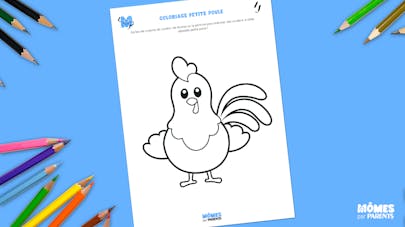Coloriage petite Poule Coloriage petite Poule