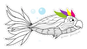 Coloriage poisson d'avril : le poisson perroquet