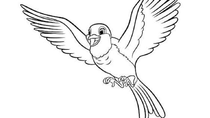 Coloriage Disney Princesse A Imprimer Momes Net Coloriage Disney Princesse A Imprimer Momes Net