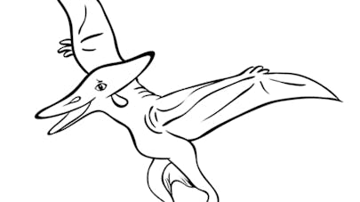 Coloriage Pterosaure Coloriage Pterosaure