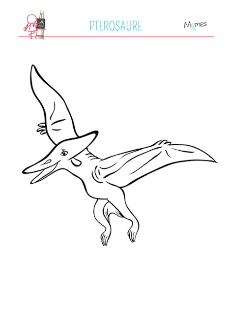 Coloriage Pterosaure Momes Net