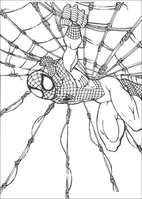 Coloriage Spider-Man sur sa toile