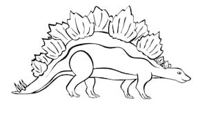 Coloriage Stégosaure