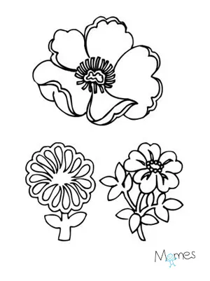 Coloriages Les Fleurs Momes Net
