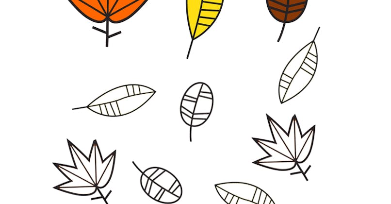 feuilles d'automne à imprimer et colorier selon le modèle