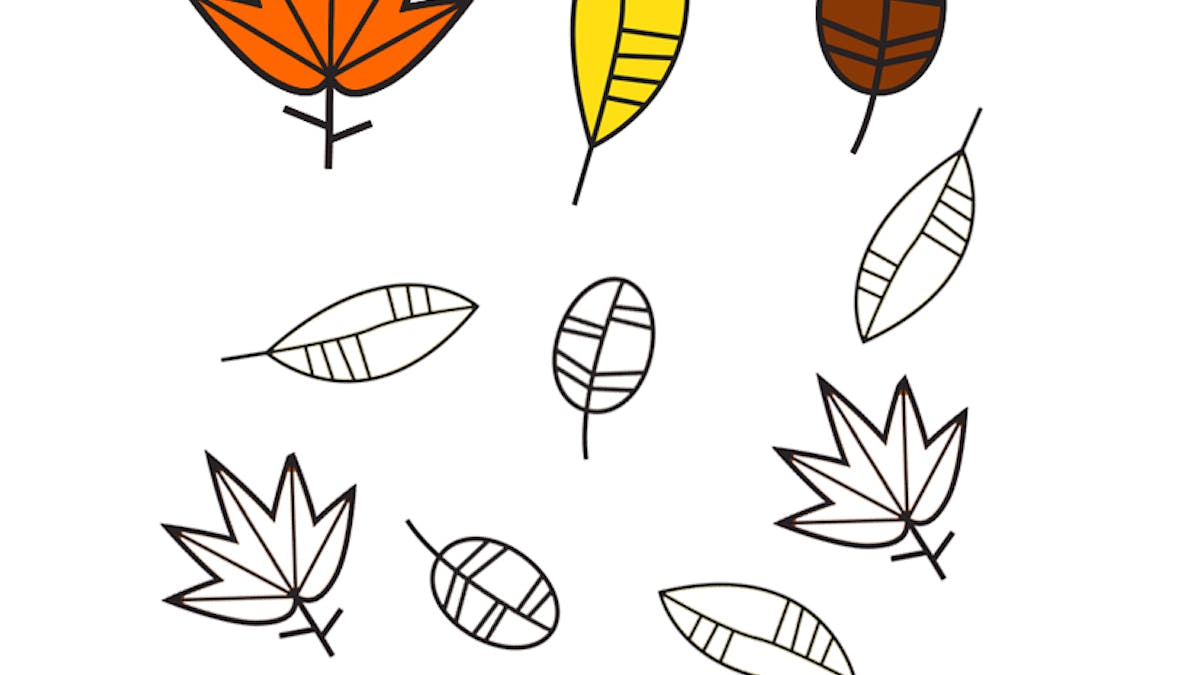 feuilles d'automne à imprimer et colorier selon le modèle