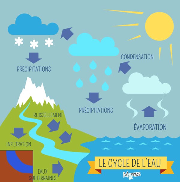 Le cycle de l’eau Schémas, Définitions, Étapes MOMES Le cycle de l’eau Schémas, Définitions, Étapes MOMES