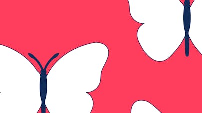motif papillon motif papillon