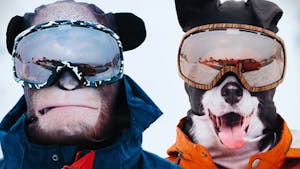 Des animaux qui skient pour de vrai sur les pistes ?
