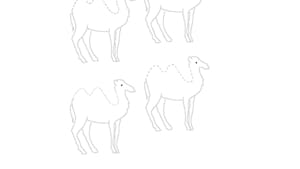 Des chameaux - exercice de tracé