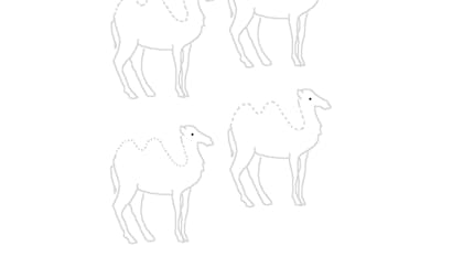 Des chameaux - exercice de tracé