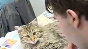 La Comptine De La Mere Michel Ses Paroles Ses Origines Et Autres Anecdotes Momes Net La Comptine De La Mere Michel Ses Paroles Ses Origines Et Autres Anecdotes Momes Net