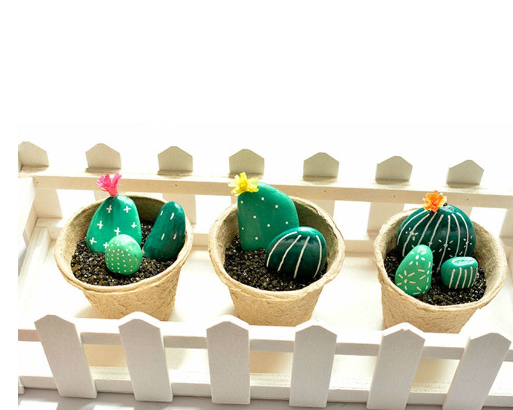Des galets-cactus en pots