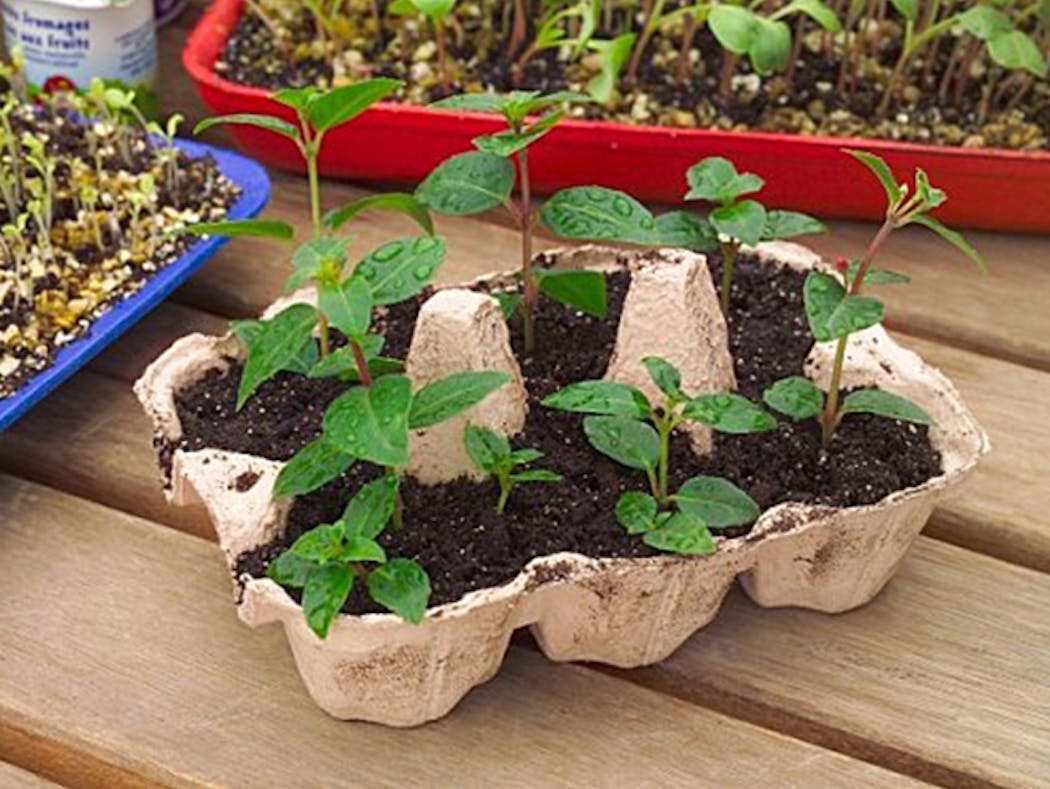 Jardinage urbain de printemps #6 – DIY boite à graines