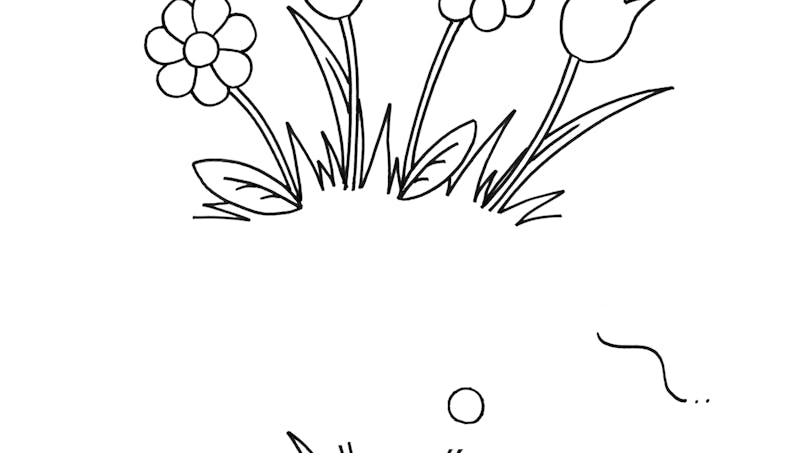 Exercice pour dessiner des fleurs