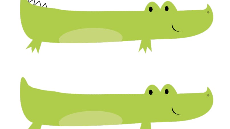 Apprendre à dessiner un crocodile en maternelle